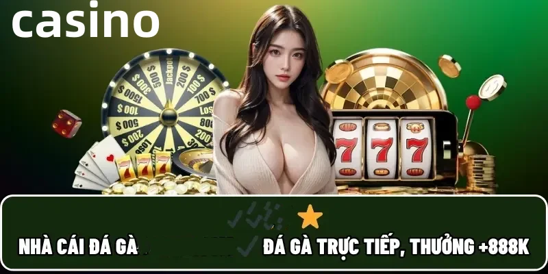bj888